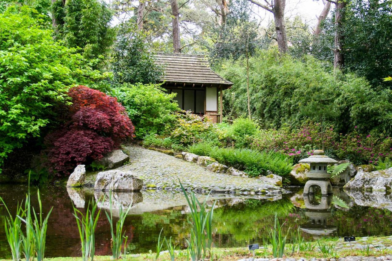 Hotel Pinetum Gardens Retreats à St Austell Extérieur photo