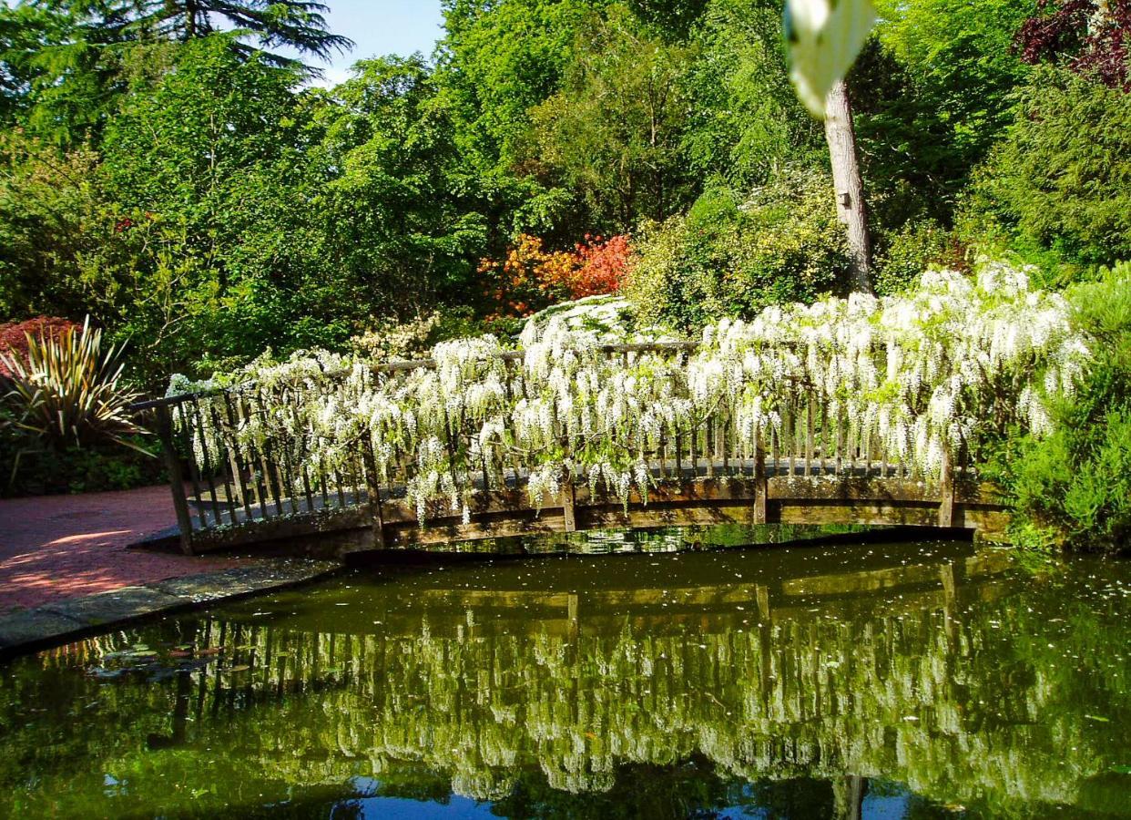 Hotel Pinetum Gardens Retreats à St Austell Extérieur photo